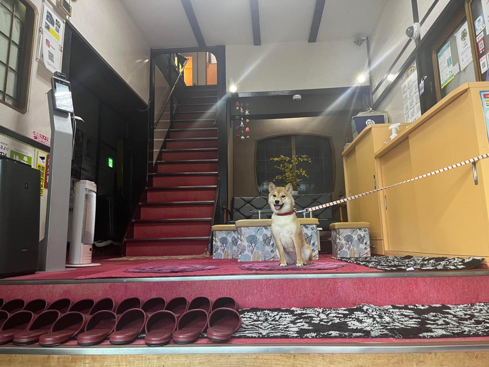 Yamamoto Ryokan Fukuoka  Luaran gambar